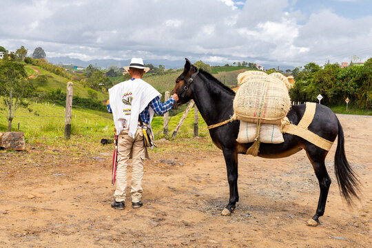 Antioquian muleteer with his mule with the load