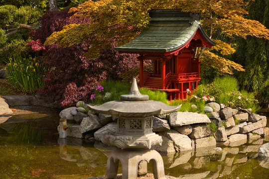 Japanese Garden