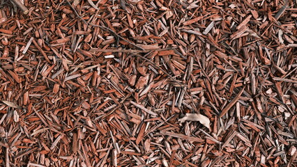 wood chips / garden mulch