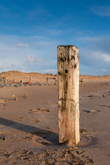 Old wooden groyne at crow point beach, Devon, UK