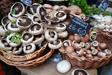 Mushrooms at Farmer's Market