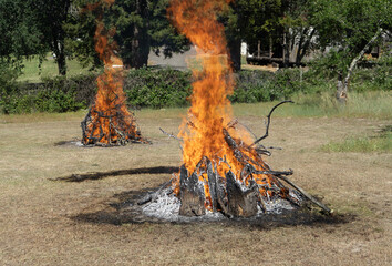 Orchard slash branches being burned in a bonfire on a cleared area under very dry conditions