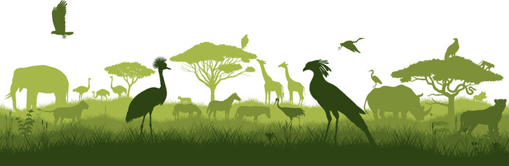 Vector horizontal seamless tropical african savannah with giraffe, ostrich, zebra, vulture, eagle, secretary bird, lioness, elephant, rhino, cheetah, crowned crane and warthog