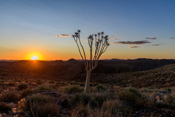 Beautiful view of the African bush. African landscape with trees. Sunset time.