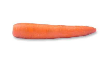 Single fresh orange carrot vegetable isolated on white background with clipping path