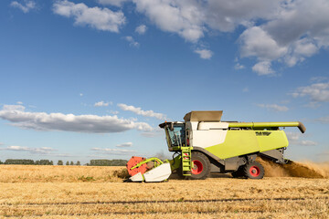 Obraz premium Combine harvester harvest rice wheat on a farm. Image of agriculture.