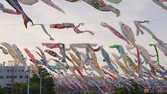 Sunset Over Koinobori Streamers On Children's Day In Japan
