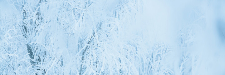 Snow and rime ice on the branches of bushes. Beautiful winter background with trees covered with...