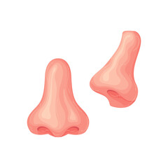 adult nose eye ear mouth cute health cartoon medicine icon organ anatomy science drawing anatomy 3d