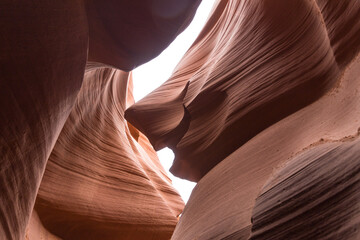 Smiling Shark in Antelope Canyon Arizona