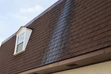 Mansard Shingles with Water Stain and Dormer