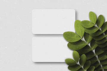 green leaf on the wall business card mockup