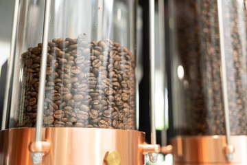Coffee beans in machine. Close up of coffee beans in a grinder