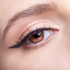 Fototapeta premium Closeup macro shot of human female eye with light pink eyes shadows