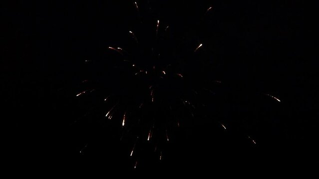Fireworks Black Night Sky Lights Up Over Pine Treetop Silhouettes, loop