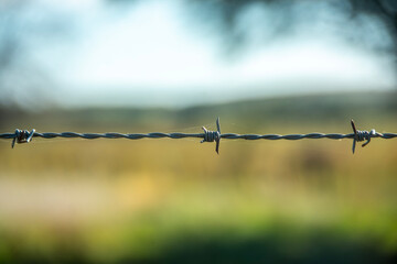 barbed wire fence