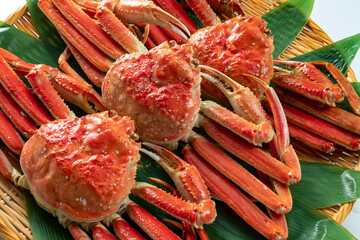 美味しいズワイカニ