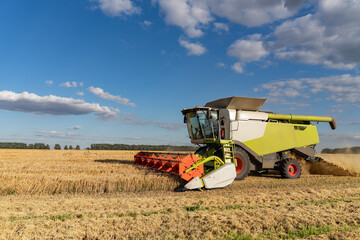Obraz premium Combine harvester harvest rice wheat on a farm. Image of agriculture.