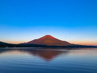 真夏の富士山と花々