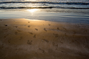 sunset on the beach