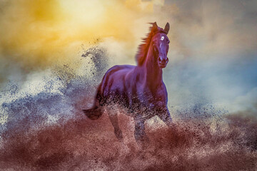 black horse, in motion, in dust and powder, colorful background, mane flying