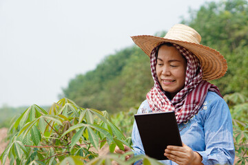 Asian woman farmer is at cassava plantation in rural of Thailand, holds smart tablet to check and record quality of growth. Concept : smart farmer use wireless technology in agriculture