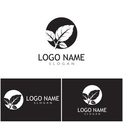 Leaf icon Vector Illustration design Logo template