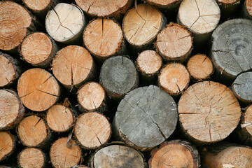 stack of firewood