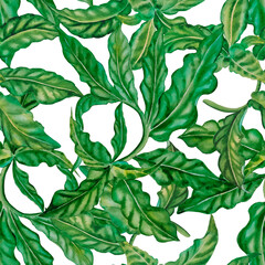 Tropical leaves seamless watercolor pattern. Hand drawn illustration of green plant branches isolated on a white background. Jungle ornament. Summer print for clothes and wallpaper. Exotic background.