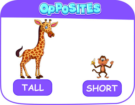LEARNING OPPOSITES TALL AND SHORT