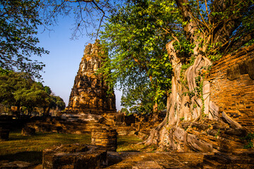 Wat Phra Mahathat temple with head statue trapped in bodhi tree in Phra Nakhon Si Ayutthaya, Thailand