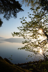 Obraz na płótnie Canvas 眩しい朝陽の輝く湖の湖畔の木。日本の北海道の屈斜路湖。