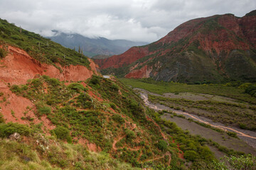 Fototapeta na wymiar View of the mountain valley, low obakas, bright green grass, and red earth after the rain. Salta Province, Argentina