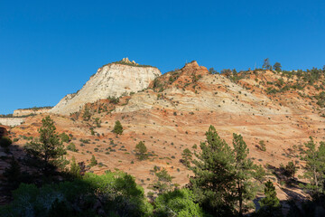 Fototapeta na wymiar mountain landscape in the zion national park, Utah, USA