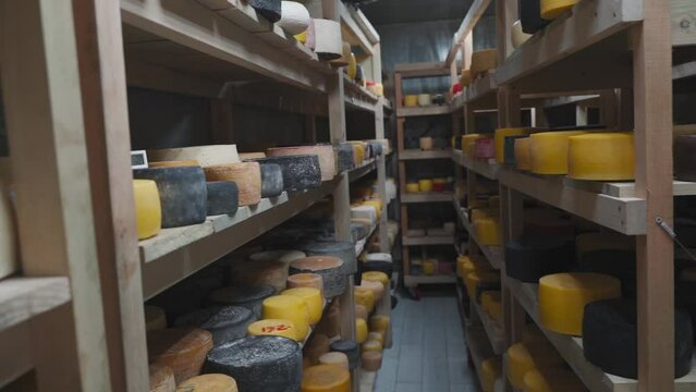 Farm cheese production. Cheese of different varieties on the shelves in the refrigerator. Many types of farm cheese on the shelves of the storage chamber. Farm cheese factory. cheese warehouse, stores