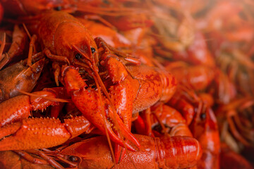 Spicy Louisiana Boiled Crawfish