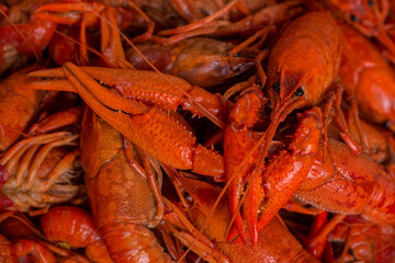 Spicy Louisiana Boiled Crawfish