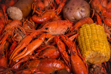 Spicy Louisiana Boiled Crawfish