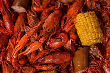 Spicy Louisiana Boiled Crawfish