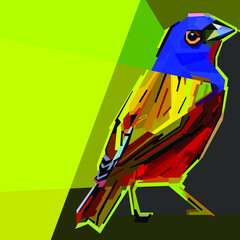 ilustrationof the bird on the colourfull geometric popart potrait vector.