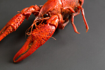 Spicy Boiled Crawfish