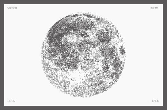 Sketch Of Moon Phase. Hand Drawn Illustration