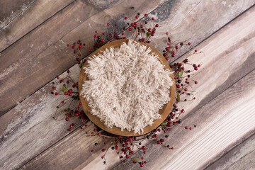 Newborn Digital Background Red Berries and Fur