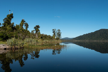 Fototapeta na wymiar Flat calm Lake Ianthe under a clear, blue sky.. Trees and vegetation on the shore reflected off the surface. West Coast, New Zealand.