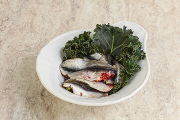 Anchovy - small fish appetizer snack