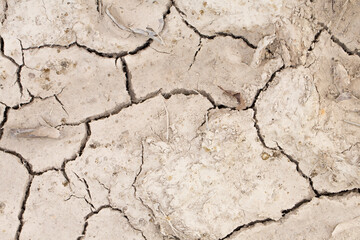 Cracking Dry Dirt in a Drought