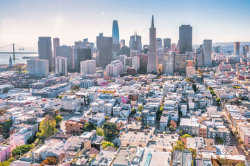 Fototapeta premium Beautiful aerial view from the Coit Tower to downtown San Francisco, magnificent skyscrapers of the famous American city. Photo edited in pastel colors.