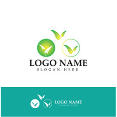 aloe vera logo design icon vector