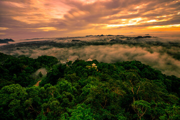 high mountain nature background that can see the scenery around, the fog covers the trees in a blur, the cool air, the beauty of the ecosystem