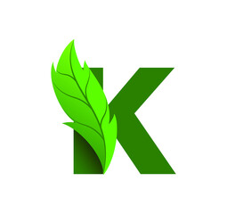 letter K leaf logo design vector